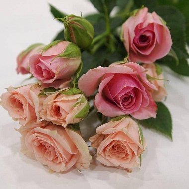 Цветы в волосы, розовая кустовая роза (5шт)