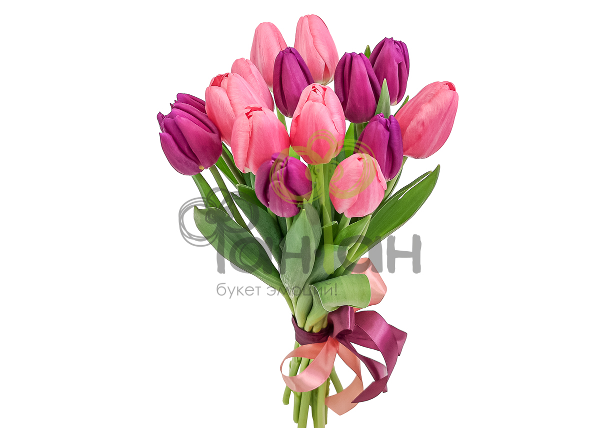 15 тюльпанов МЕГА розовых с лентой