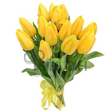 15 тюльпанов МЕГА жёлтых с лентой