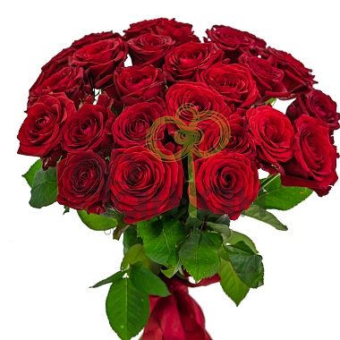 Букет 25 красных роз АКЦИЯ