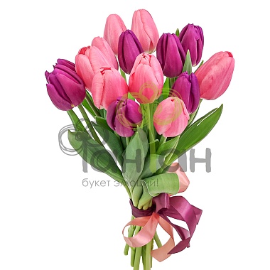 15 тюльпанов МЕГА розовых с лентой